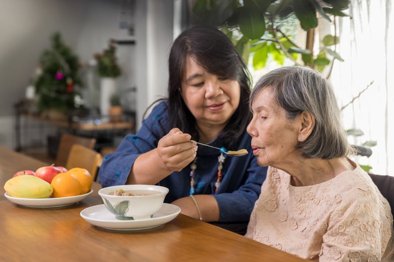 carer helping elderly lady to eat